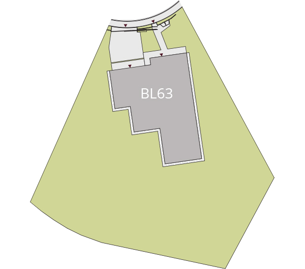 BL63